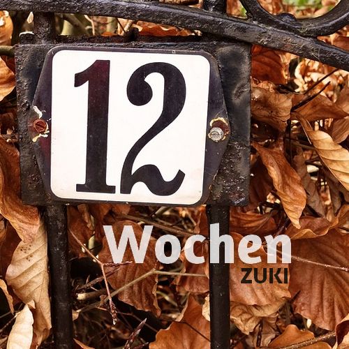 ZUKI Wochen.jpg